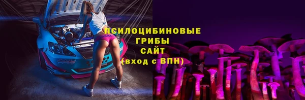 ALPHA PVP Новозыбков