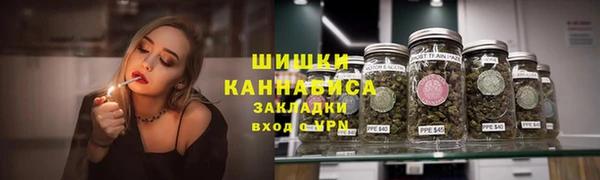 ALPHA PVP Новозыбков