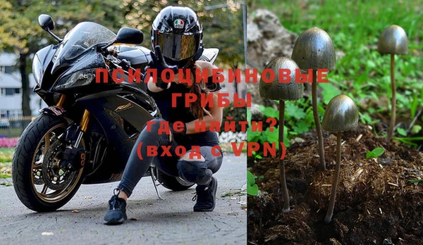 не бодяженный Новодвинск