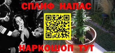 гидра Гагарин