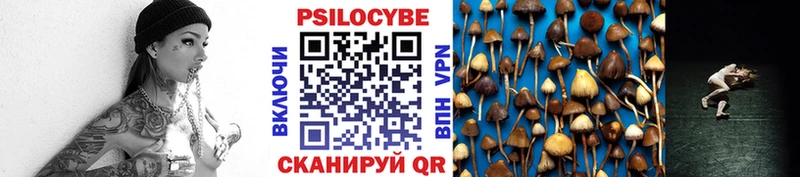 цена   блэк спрут ТОР  Галлюциногенные грибы Psilocybine cubensis  darknet телеграм  Губкинский 
