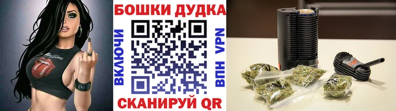 МАРИХУАНА Amnesia  kraken ТОР  Губкинский  наркотики 